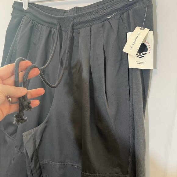 Anthropologie Daily Practice Pants Size Large Gray Pull On Pleated Women NWT - Picture 13 of 14